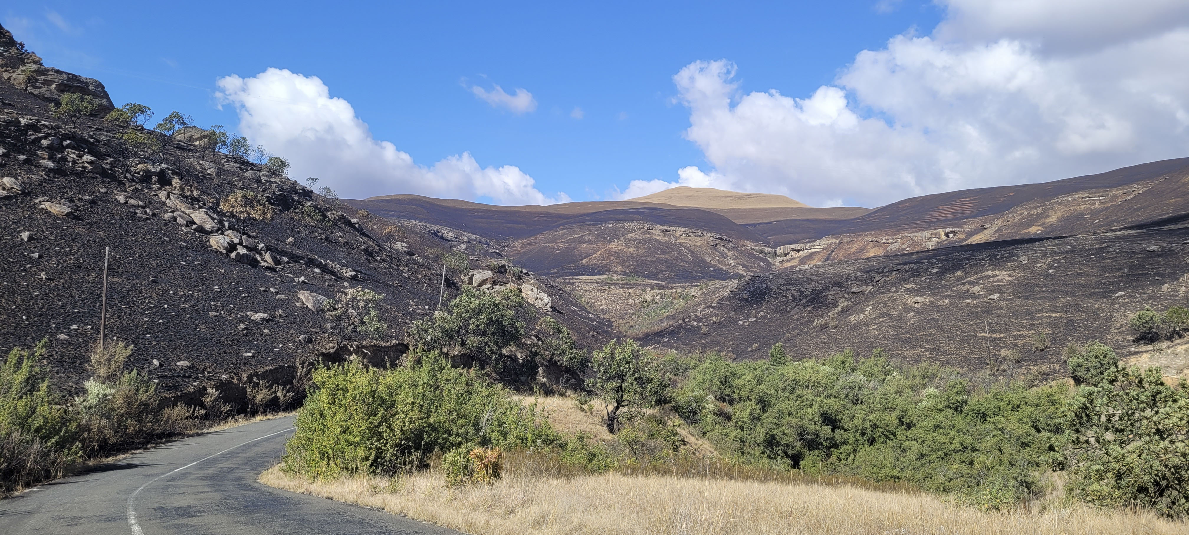 GYT 20220625 110559 20220625 110559